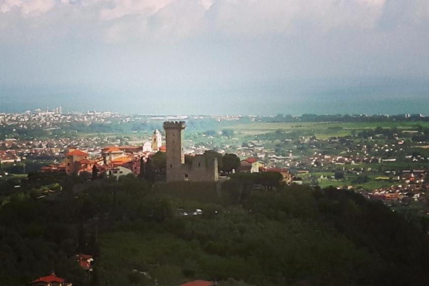 mit Wasserblick - foto 28