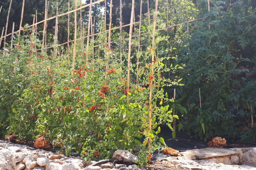 boo premium living Villen auf Lefkada - foto 32