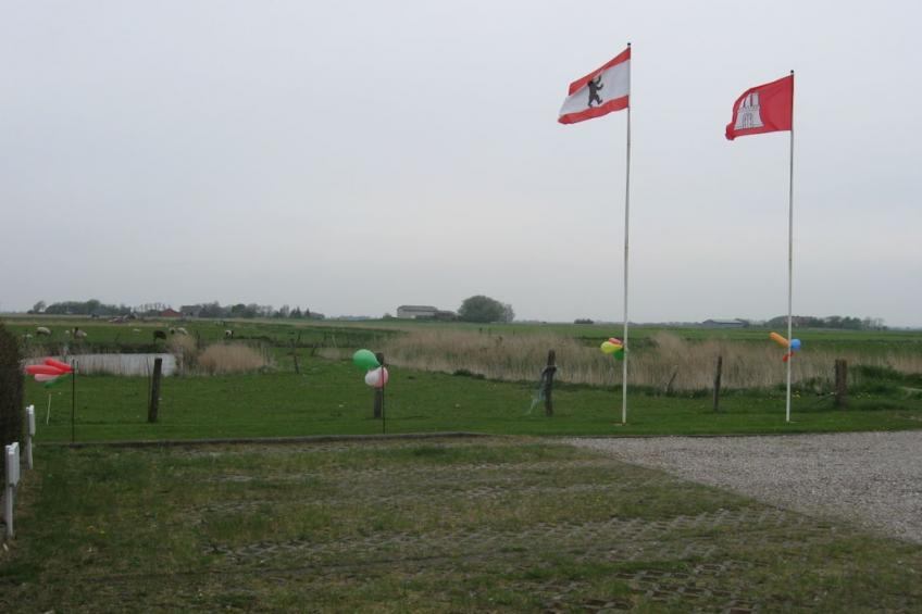 275022 - foto 7