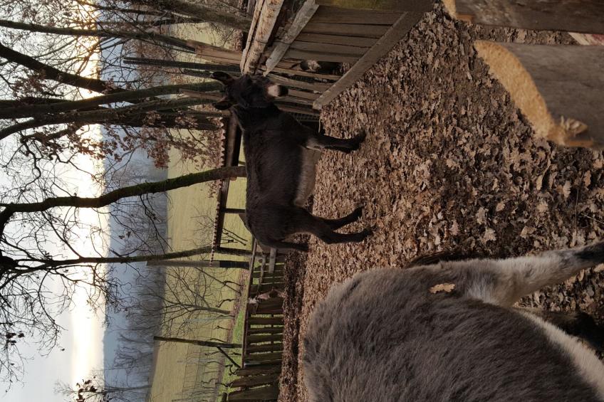 Wohnung mit Grill, Pool und Terrasse - foto 28