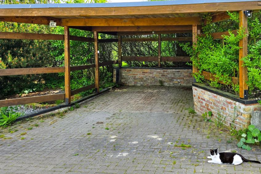 Rügen - Promoisel - Auszeit am Kreidesee, zwischen Sassnitz und Sagard - foto 22