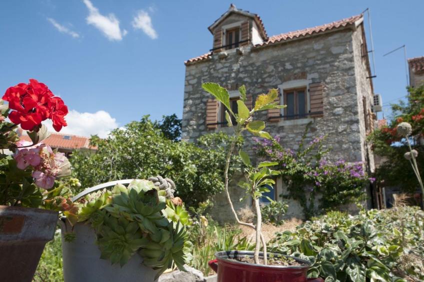 in Zlarin mit Schönem Garten - foto 3