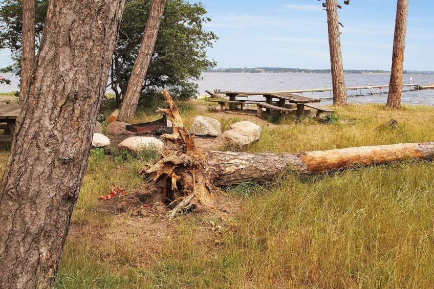 "Jeip" - 400m to the inlet in Sealand - foto 6