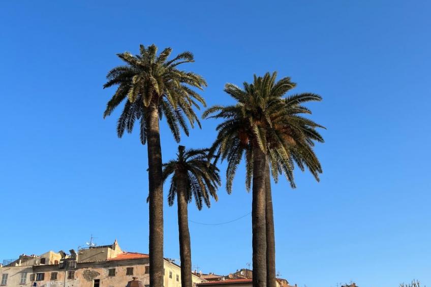 ISULA-RED_BEAUTIFUL_VIEW. - foto 42