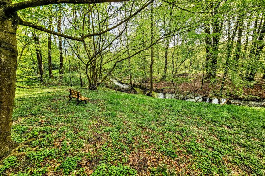 Apartment Naturpark - foto 21