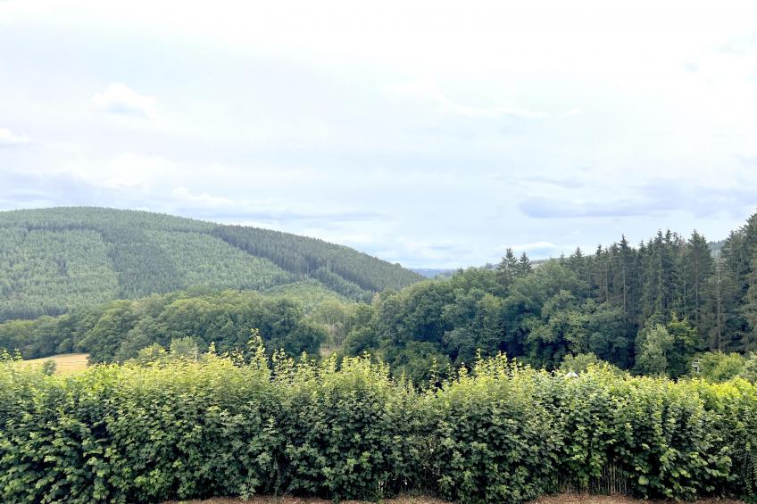 Sur les Thiers - foto 19
