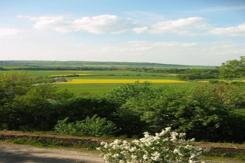 Am Ferienhof - foto 33