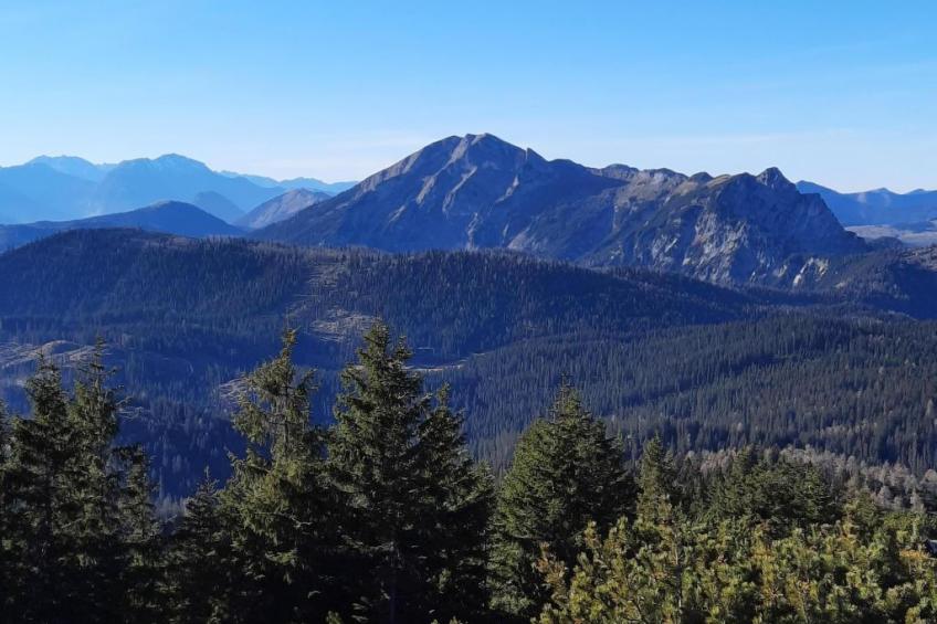 Deluxapartment Simon - foto 55