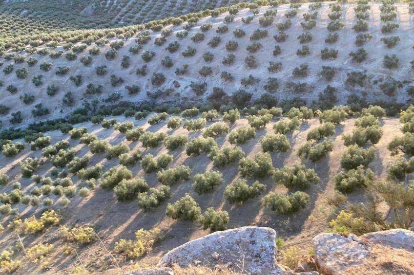 La Cocineta - foto 22