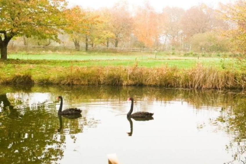 Ferienresort Bad Bentheim 23 - foto 34