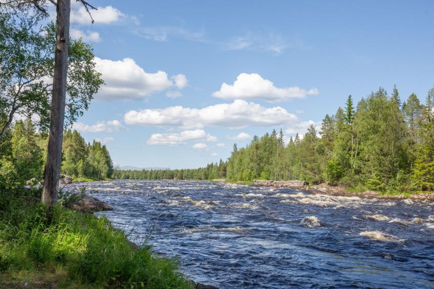 Linsell Villan - foto 36