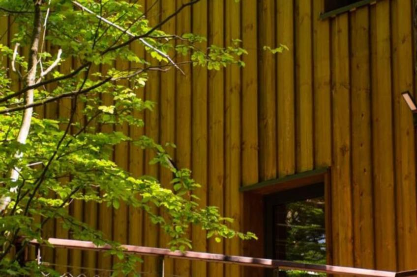 Gîte Cabane insolite dans les cévennes – les sous-bois 3 étoiles - foto 17