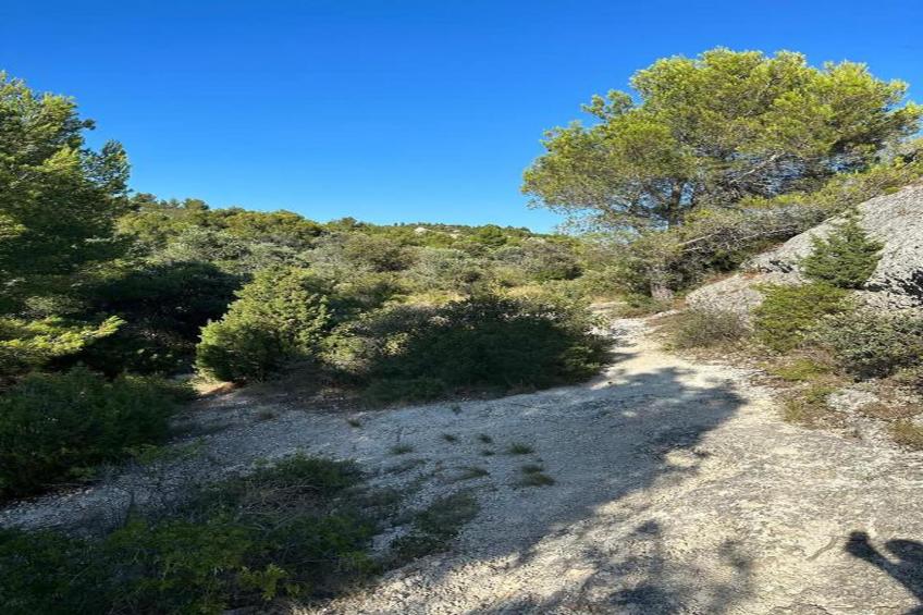 Rèsidence Le Mas des Alpilles - foto 32