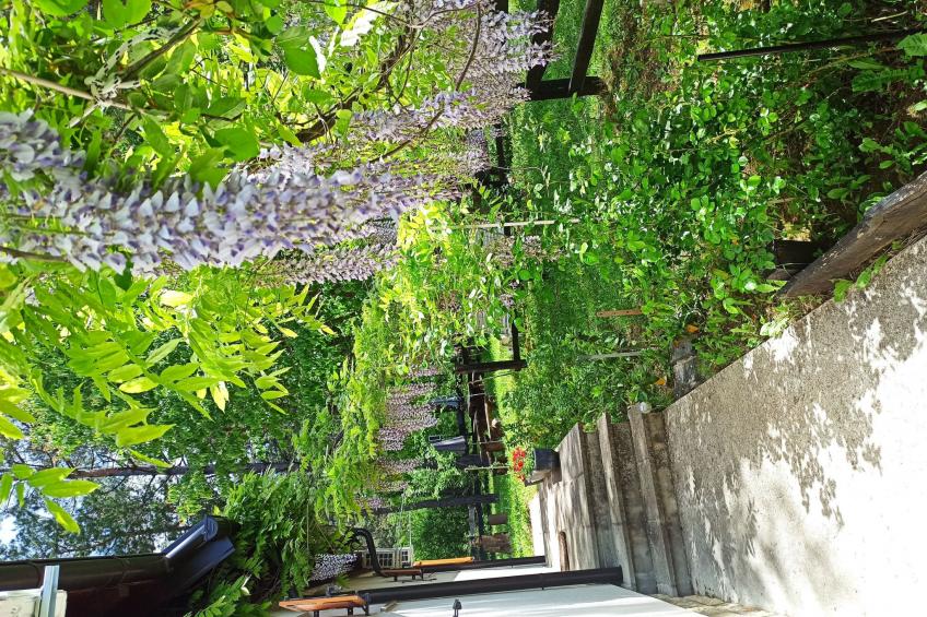 Finca "5-Schlafzimmer-Haus" mit Bergblick - foto 4