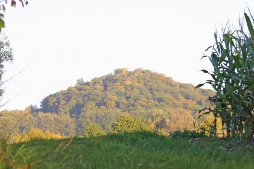 Gästehaus Kühne - foto 15