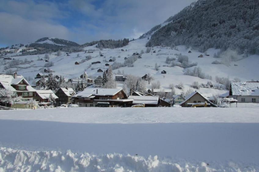 Wis (Stein) - foto 10