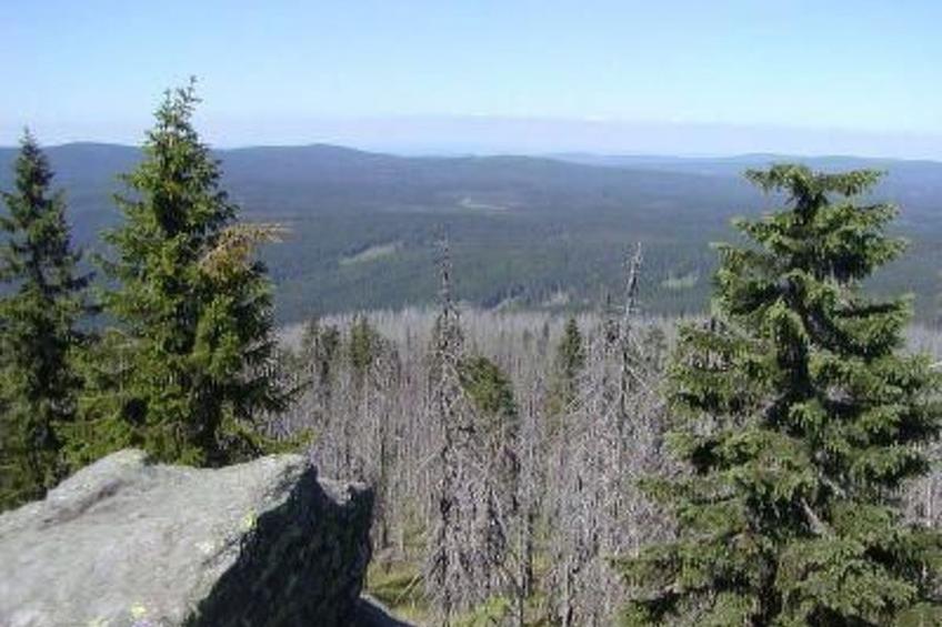 Tamara in Eppenschlag - foto 18