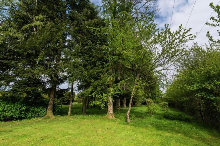 L'Alouette - foto 28