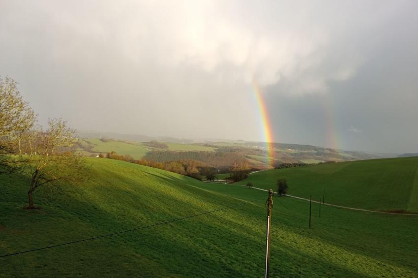 Wohnung Weitblick - foto 20