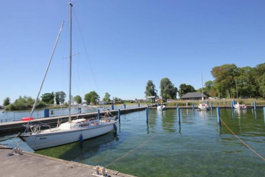 Mueritzbrise 3 mit Terrasse free WiFi - foto 17