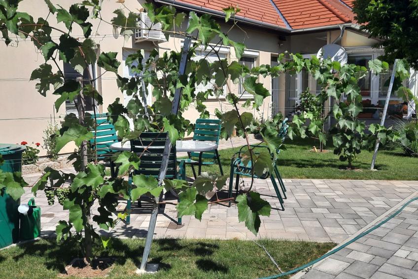 in Bük im Parterre mit Garten - foto 41