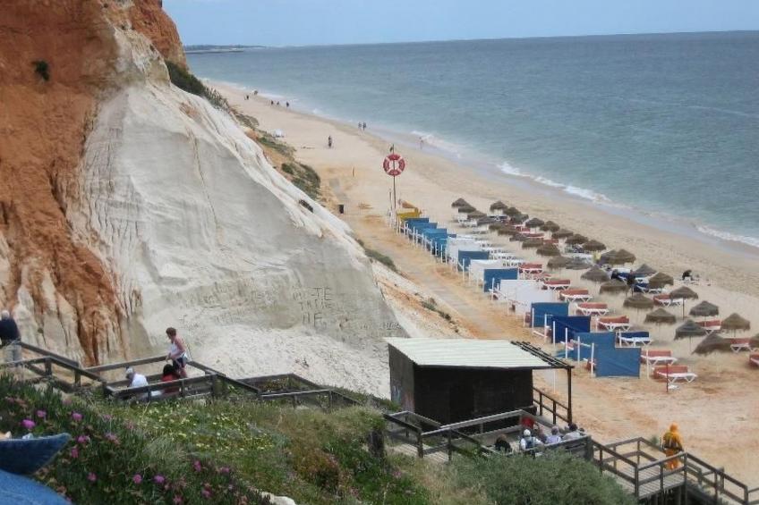 Pine Sun Park - foto 24