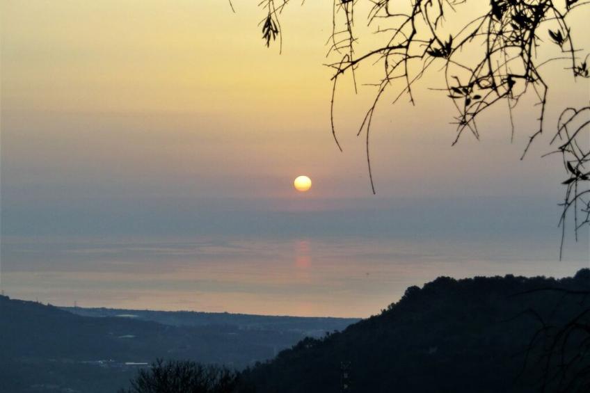 246586 - foto 23