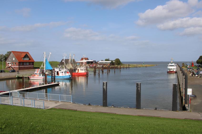 FEDDERWARDERSIEL (FDD110) - foto 31