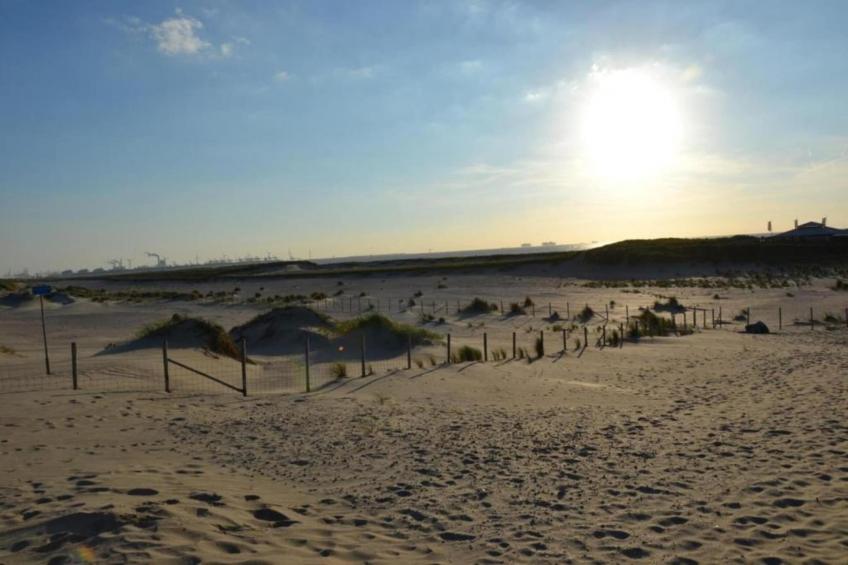 Strandpark Vlugtenburg - foto 36