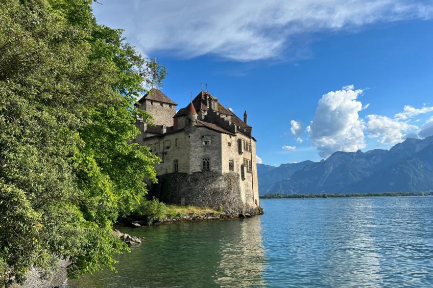Vigneronne, Vigne - foto 20