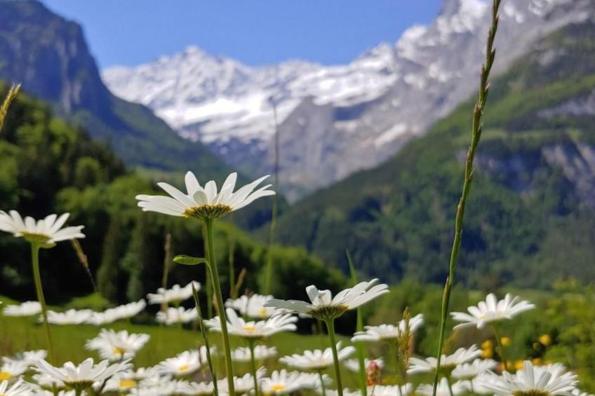 Ufem Egg Ferienhaus - foto 34