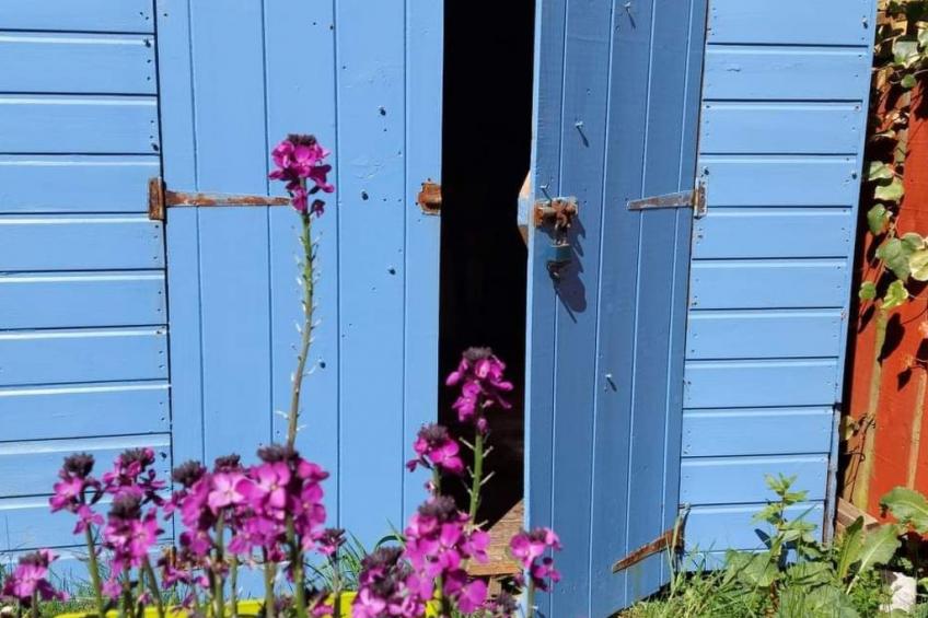mit Garten im schottischen Hochland - foto 30
