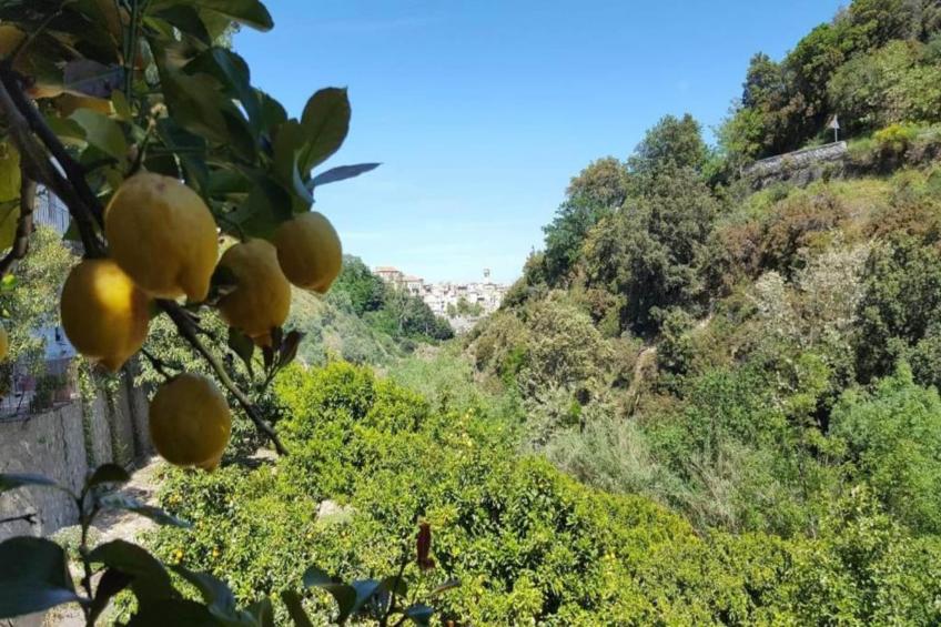 Mezzanino - foto 31