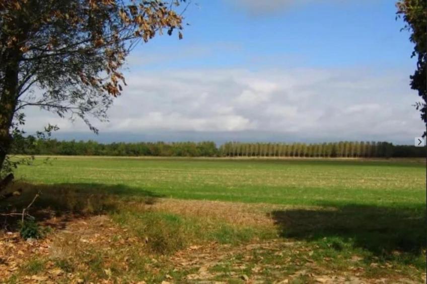 Harbour Loft 1N Résidence Marina polderzicht - foto 38