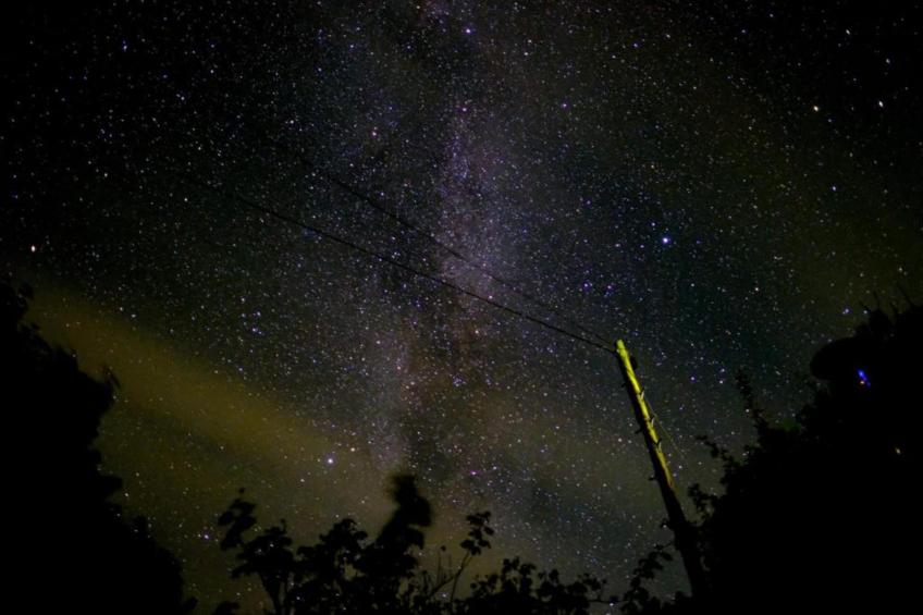 Netley Hall - Jasmine - foto 27