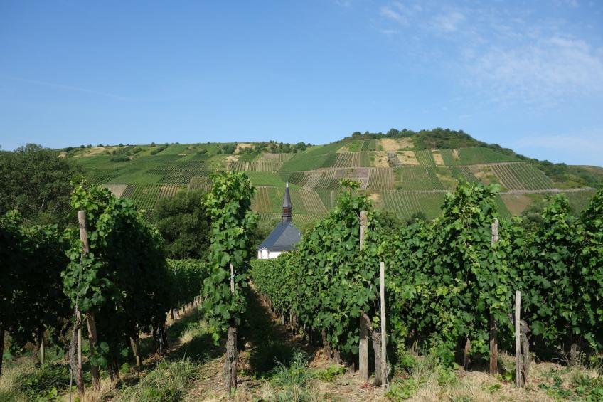 Stern - foto 32
