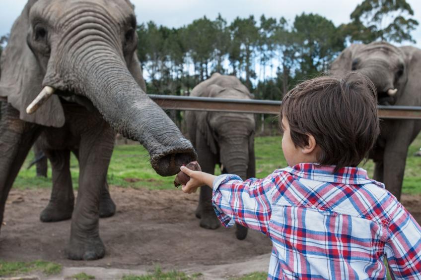 Estate Chalet 40 mit gemeinschaftlichem Pool, Südafrika - foto 47