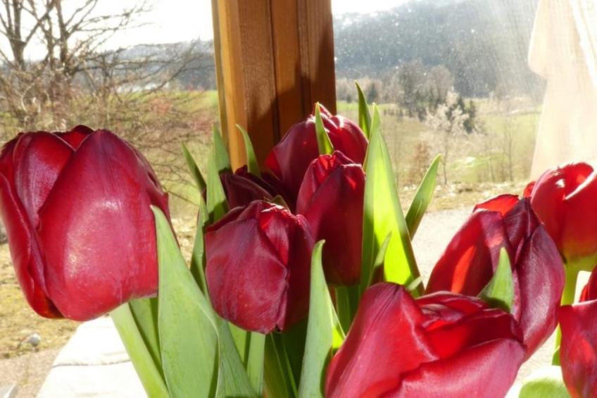 Relax Family Stay - foto 21