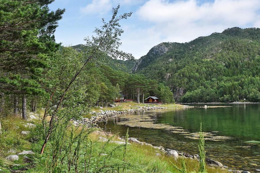 56762 LANGNESET - foto 48