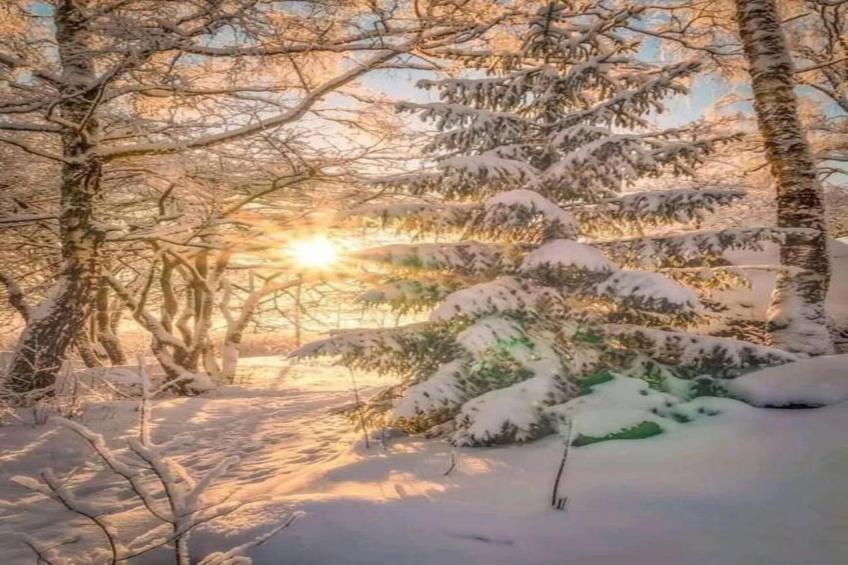 Les Sitelles N°18 - 2P6 - foto 17