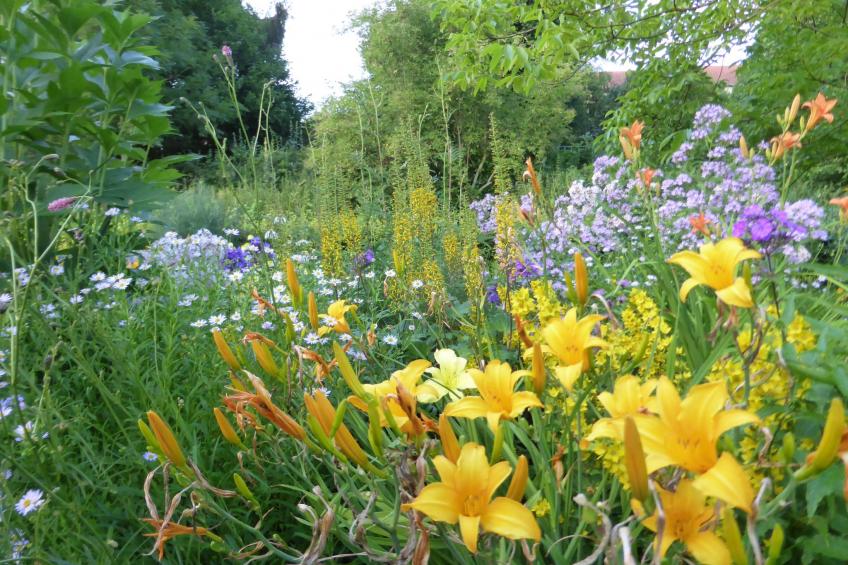 The Water Mill of Tourteron - foto 24