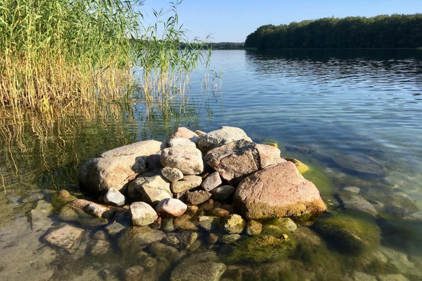 Wheelchair accessible Double Room - foto 27