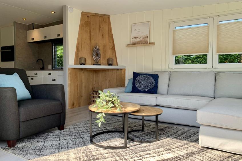 Campanula 211 - foto 7