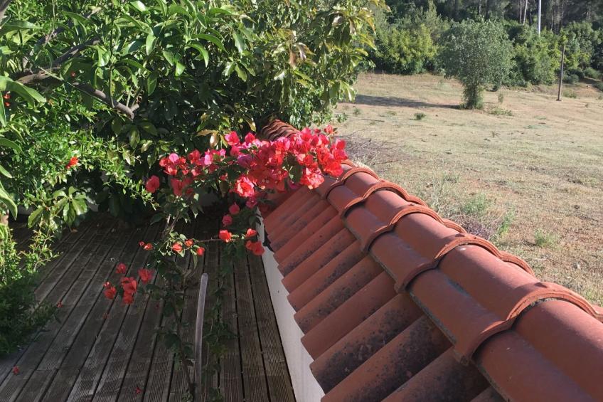 Finca mit Garten, Grill und Terrasse - foto 33