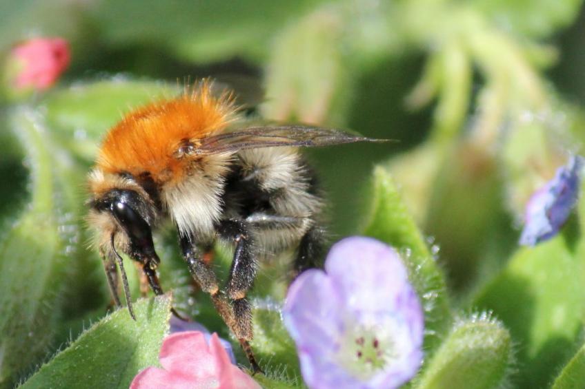 Appartement mit Wallbox - foto 40