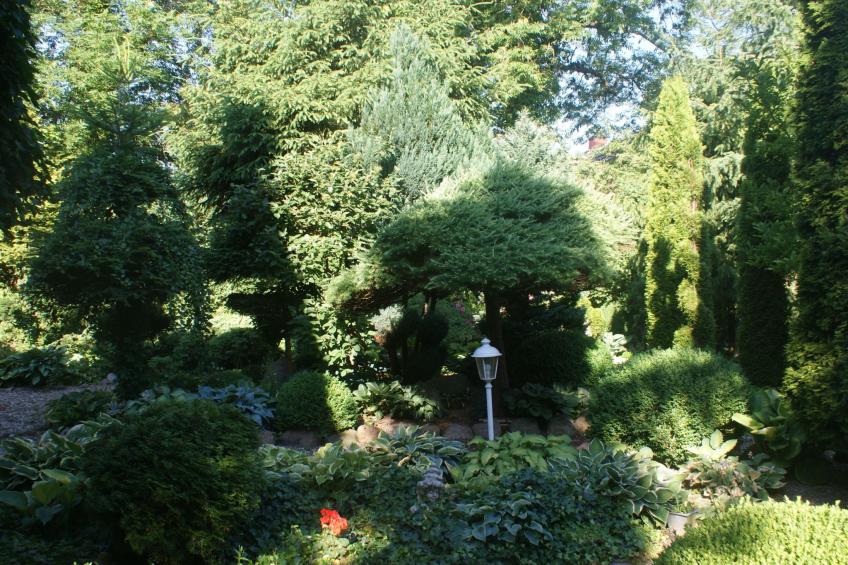 Meeresdorf Stille - Ferienhäuser in den Gärten von Magra - foto 29