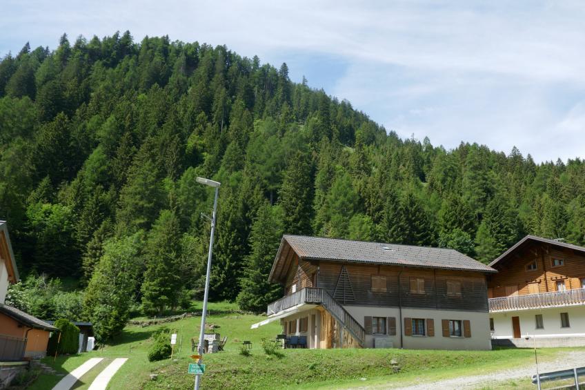 Prou Forestside - foto 22