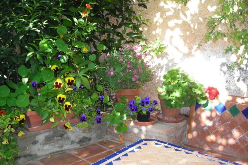 Gemütliches Ferienhaus in Tíjola mit Grill, Garten und Terrasse - foto 14