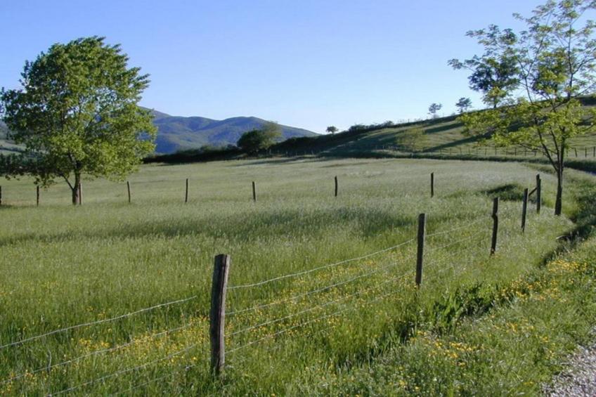 Casa Monte - foto 29