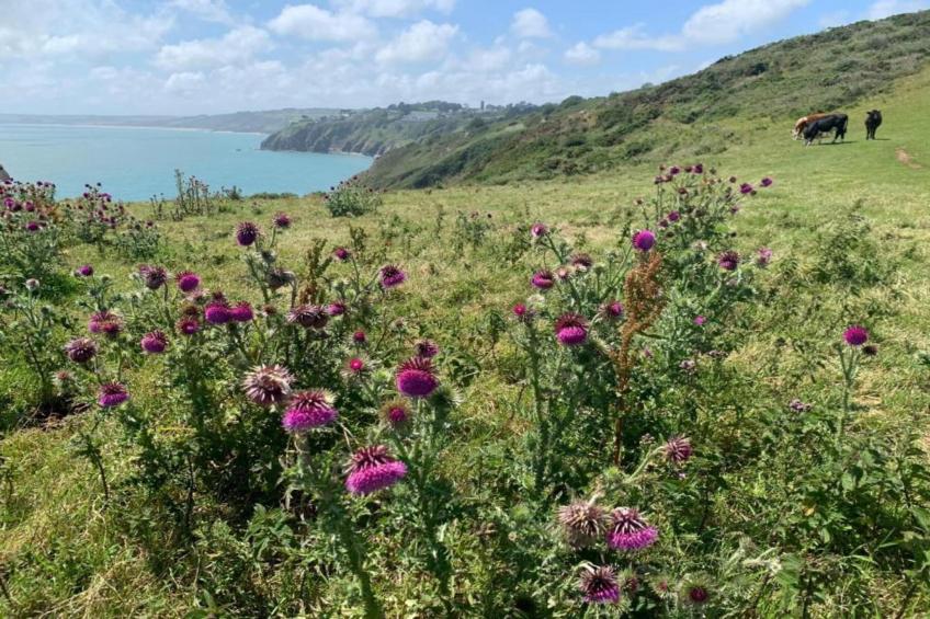 Oak Tree Lodge - foto 28